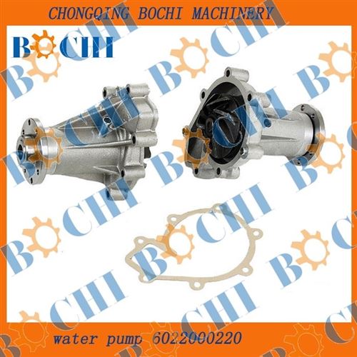 water pump for Mercedes-Benz 6022000220