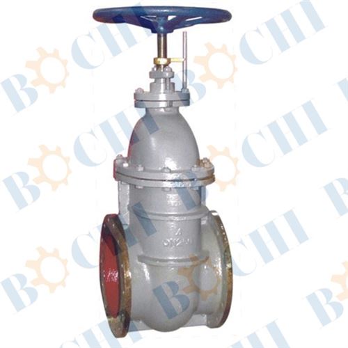 Marine Cast Steel Gate Valve