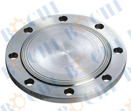 Stainelss Steel 10 bar Blank Flange