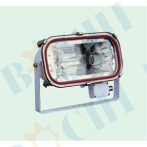 1000W Marine Flood Light