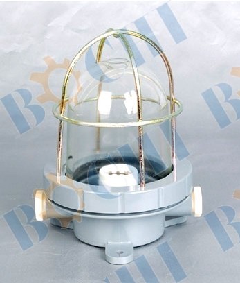 60W Cabin Ceiling Light