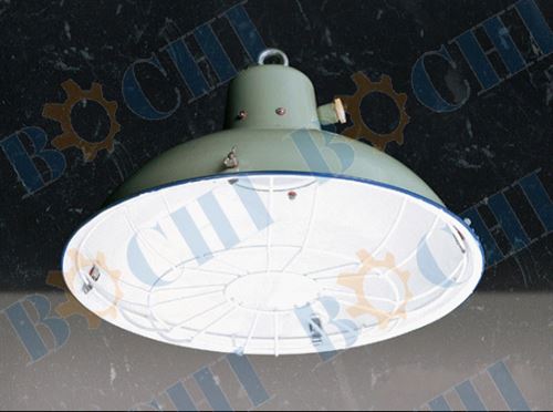 Marine Cargo Light BMMEELSCL-02