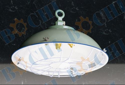 Marine Cargo Light BMMEELSCL-01