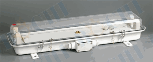 60W Fluorescent Light